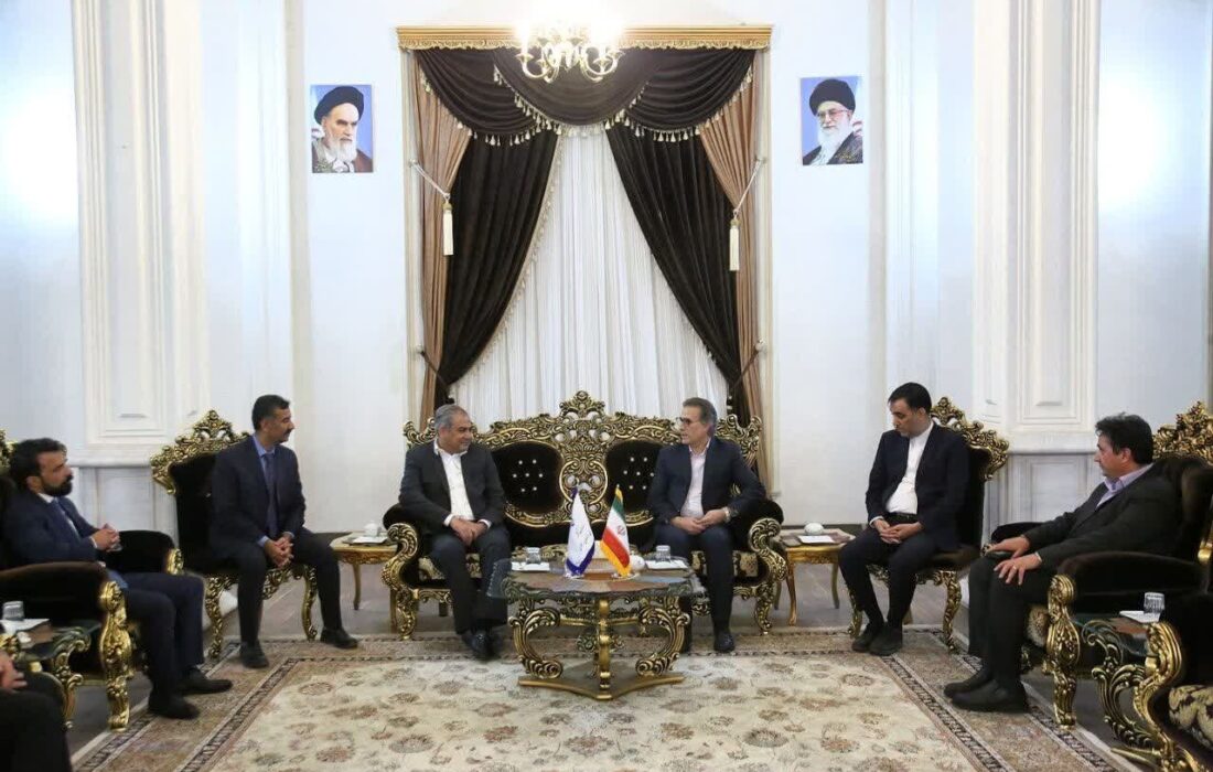 نبی پور:مشهد دارای ظرفیت‌های منحصر به فردی در حوزه گردشگری سلامت است