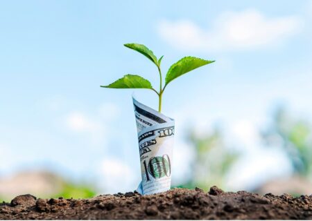 رویارویی سرمایه‌داری و محیط‌زیست: لزوم تحول بنیادین