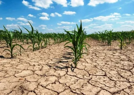 کاهش 82درصد بارش‌های ایران/ پاییز از تابستان هم خشک‌تر شد