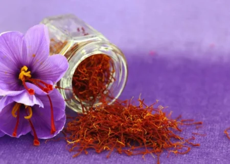 معامله ۲۶۷ کیلوگرم زعفران در بازار آتی بورس کالا