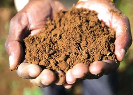 حفظ خاک در مقابل مناظره‌های بی‌پایان؛ اولویت با کدام است؟