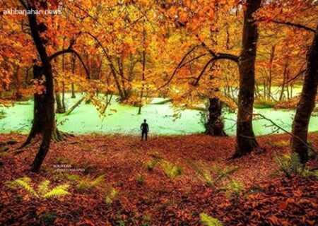 دیوک، مردابی شگفت‌انگیز در مرز خیال و واقعیت