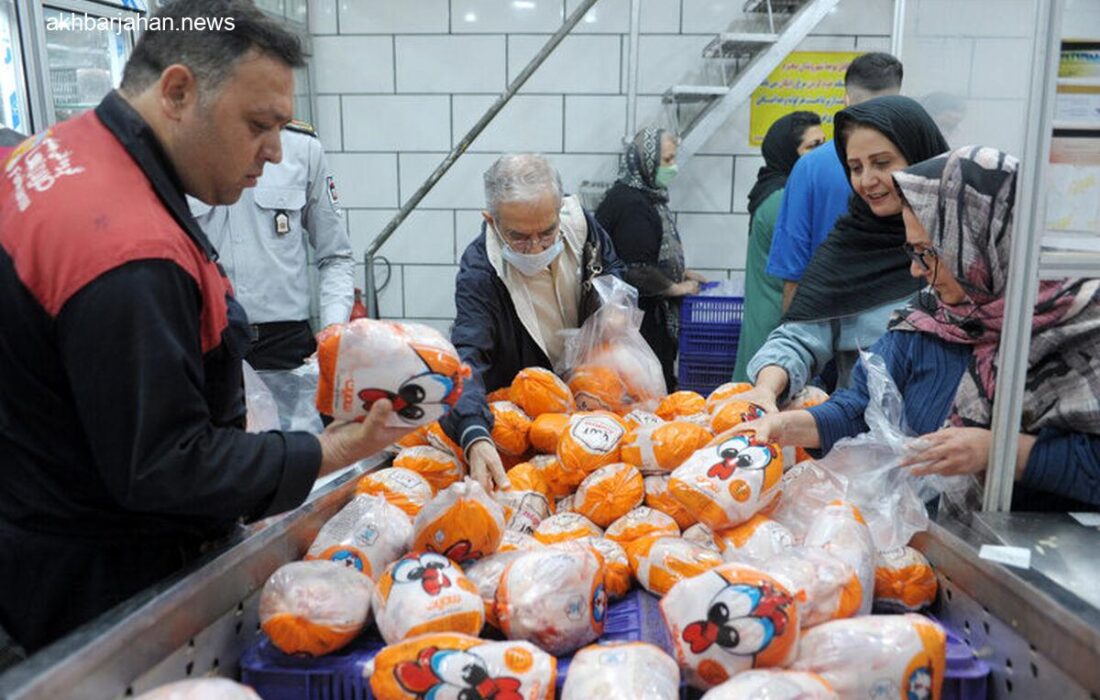 رمزگشایی از گرانی مرغ: چه عواملی در افزایش قیمت نقش دارند؟