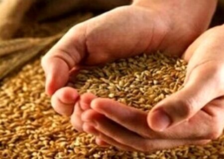 نحوه قیمت‌گذاری گندم مشخص شد