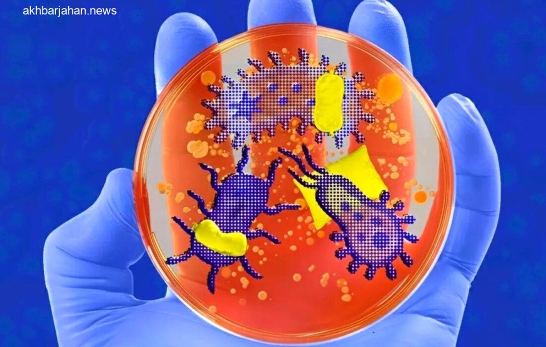 نقش حیرتانگیز میکروبهای بدن در تنظیم خواب انسان