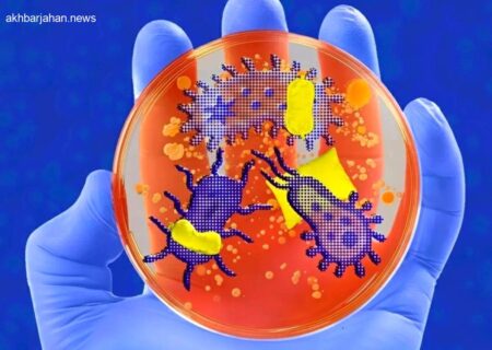 نقش حیرت‌انگیز میکروب‌های بدن در تنظیم خواب انسان