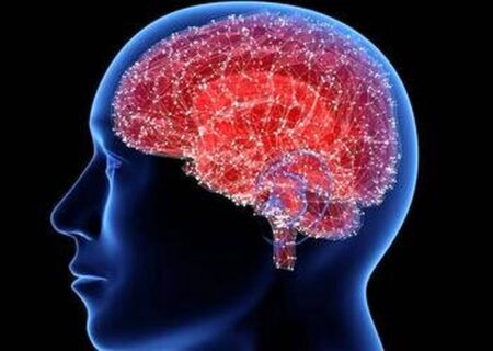 راز لاغری در دستان این مولکول نهفته است!