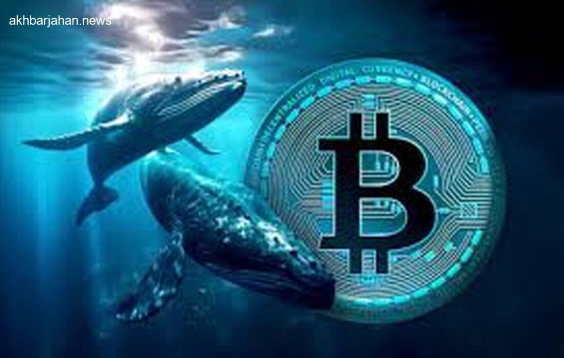 راز ثروت ۱۰۰ هزار بیت کوینی فاش شد؛ هویت نهنگ مرموز لو رفت!