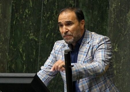 اظهارات جنجالی یک نماینده: علت خیانت مردان به همسرانشان در خیابان!