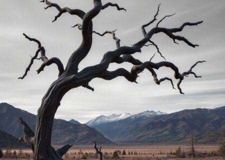 تعبیر خواب درخت خشکیده: رمزگشایی از پیامی عمیق در ضمیر ناخودآگاه
