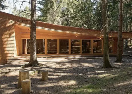 جادوی معماری با چوب (عکس)