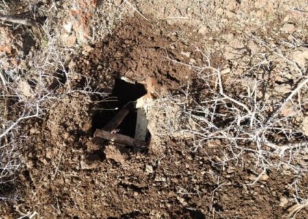 عملیات پاکسازی پارک ملی بوجاق از تله‌های شکارچیان غیرمجاز