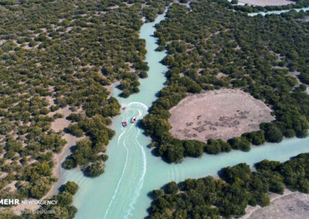 روستای سهیلی؛ از ستاره سهیل تا مرکز  صلح بین قبایل، انسان و زیست بوم