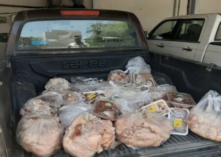 معدوم‌سازی بیش از یک تن مواد پروتئینی تاریخ‌گذشته در زابل