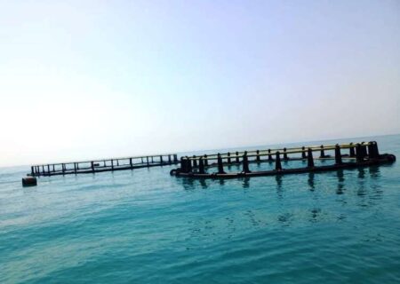 جهانشاهی: ساخت بزرگ‌ترین قفس دریایی کشور در مرحله پایانی است