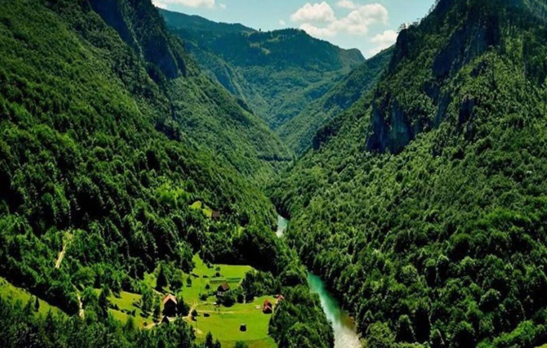 گفتوگوی آرام با خرسها و پلنگها در دل جنگلهای چلاو