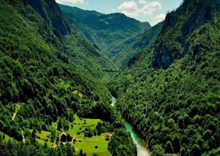 گفت‌وگوی آرام با خرس‌ها و پلنگ‌ها در دل جنگل‌های چلاو