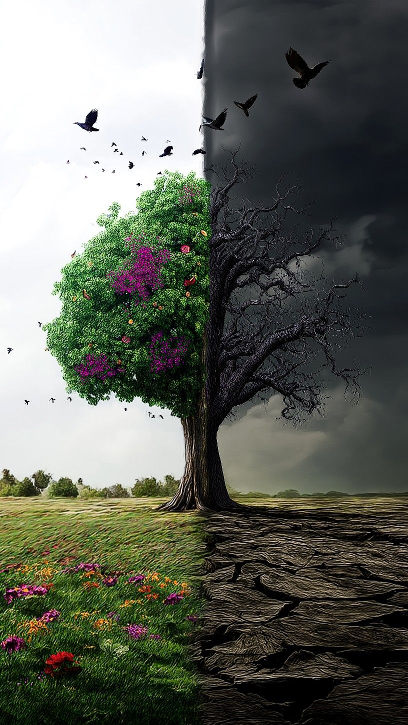 تعبیر خواب درخت خشکیده: رمزگشایی از پیامی عمیق در ضمیر ناخودآگاه