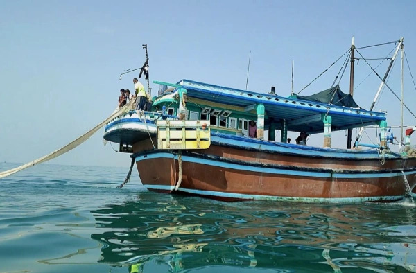 قانون جدید ته لنجی چیست؟ نکات مهم درباره واردات ته لنجی