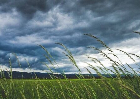 وزش باد در اردبیل پیش‌بینی می‌شود
