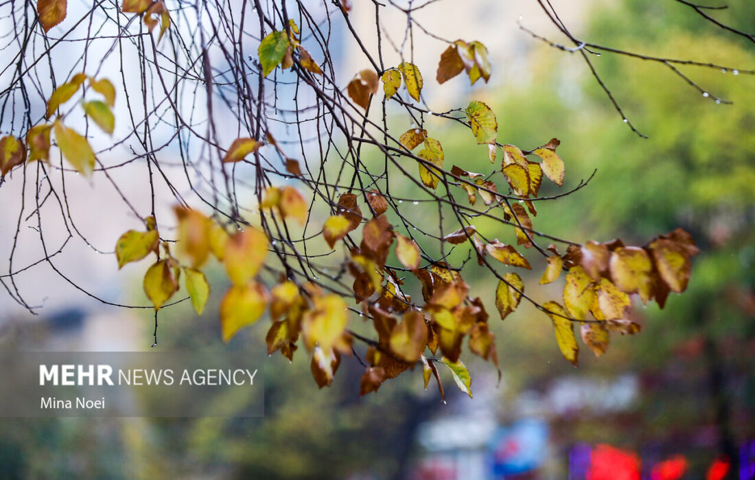 صابری: فعالیت سامانه بارشی در آذربایجان غربی تشدید می شود