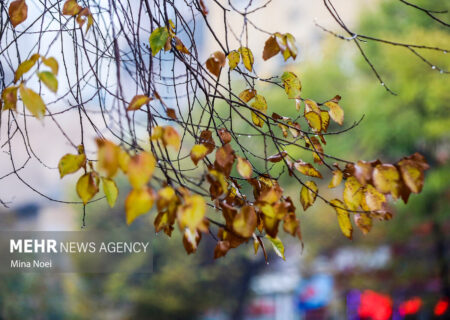 صابری: فعالیت سامانه بارشی در آذربایجان غربی تشدید می شود