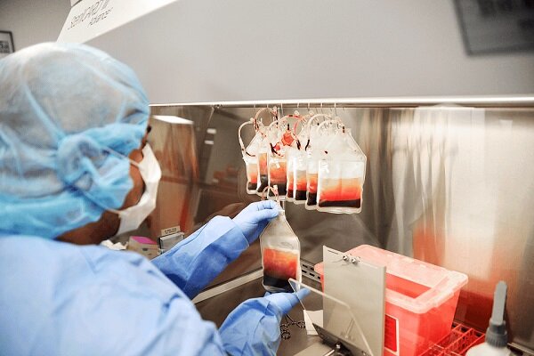 درمان بیماریهای خونی با نمونههای ذخیرهشده بندناف