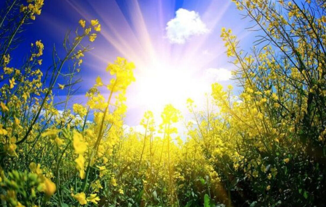 تداوم هوای آرام و افزایش جزئی دما در گلستان تا اواسط هفته آینده