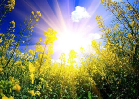 تداوم هوای آرام و افزایش جزئی دما در گلستان تا اواسط هفته آینده