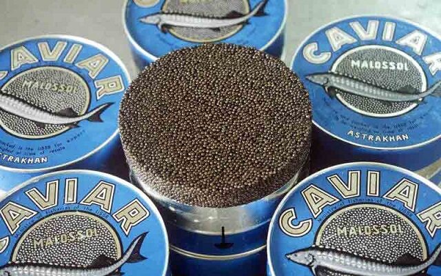 صادرات ۳.۵ تن خاویار در نیمه اول ۱۴۰۴؛ بیشترین متقاضی در کشورهای عربی