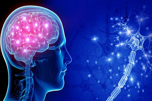 حمایت از توسعه فناوریهای عصبی و شناختی در قالب سرمایهگذاری خطرپذیر