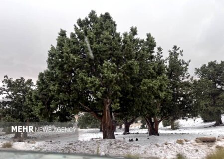 اولین برف پاییزی در ایستگاه ۷ توچال تهران
