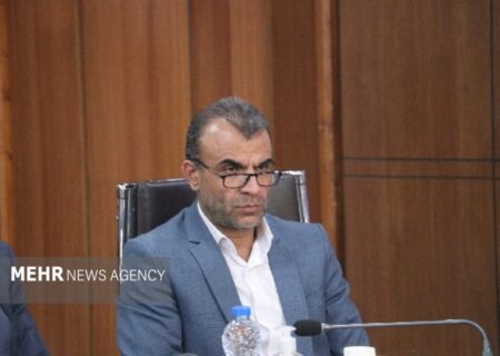 شهرزاد: احیای نظام‌نامه تفویض اختیارات به بخش خصوصی در دستور کار باشد