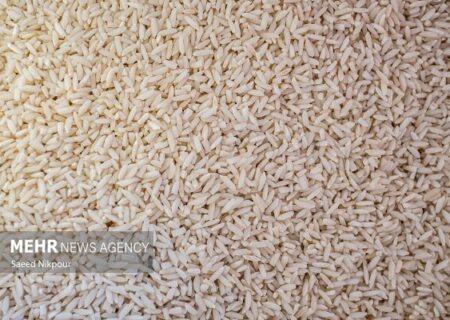 بازار برنج با توزیع محموله‌های وارداتی ساماندهی می‌شود