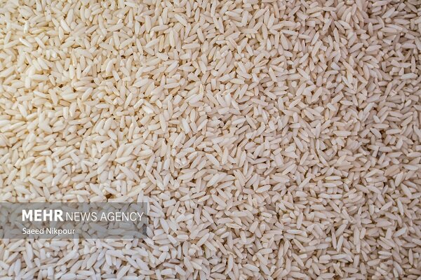 بازار برنج با توزیع محمولههای وارداتی ساماندهی میشود