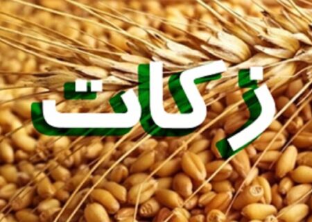 امام: بیش از ۸۹ میلیارد ریال زکات در استان یزد جمع‌آوری شد