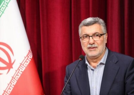 طفرقندی: ضرورت توجه به اخلاق حرفه‌ای و تعهد اجتماعی در آموزش پزشکی