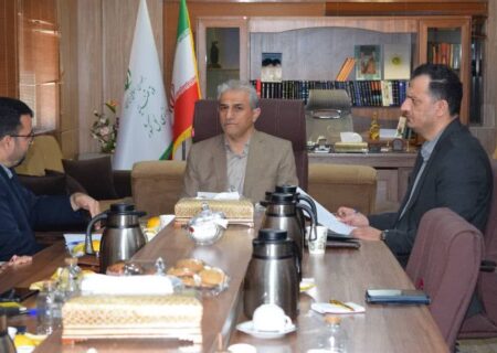 هواسی: هیئت‌های رصدگر بسیج برای افزایش سرمایه اجتماعی تلاش کنند