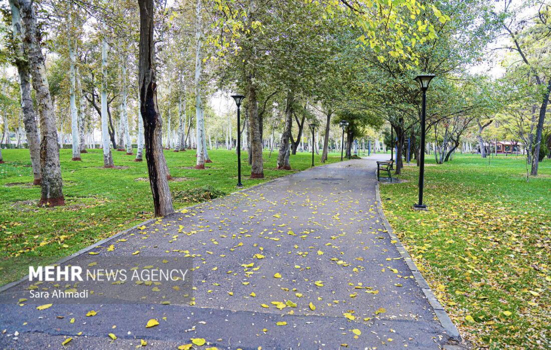 غیوری خواه: دمای هوای مشهد بین ۴ تا ۲۱ درجه در نوسان خواهد بود
