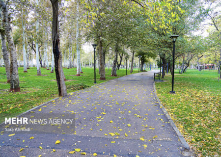 غیوری خواه: دمای هوای مشهد بین ۴ تا ۲۱ درجه در نوسان خواهد بود