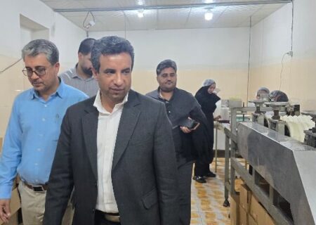 ظرفیت و کیفیت کارگاه‌های کنجدی هرنگ بستک بررسی شد