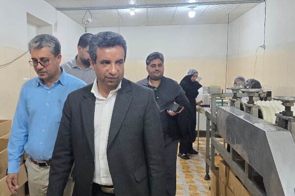 ظرفیت و کیفیت کارگاههای کنجدی هرنگ بستک بررسی شد