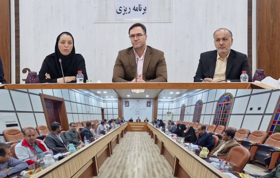 فرماندار تنگستان: روند اجرای پروژه‌های شهرستان مطلوب است