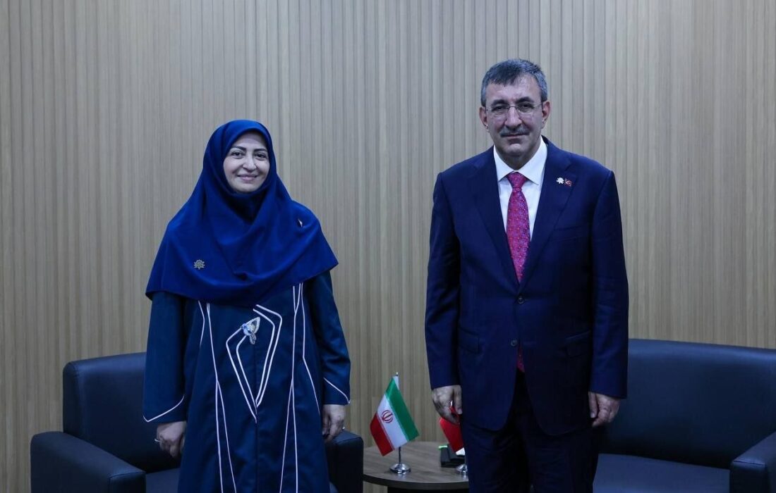 رئیس سازمان محیط زیست با معاون رئیسجمهور ترکیه دیدار کرد