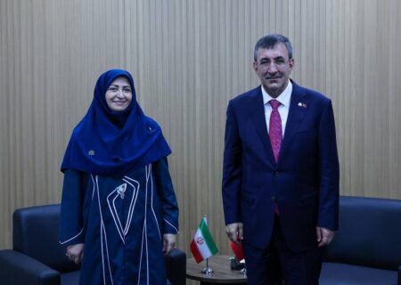 رئیس سازمان محیط زیست با معاون رئیس‌جمهور ترکیه دیدار کرد