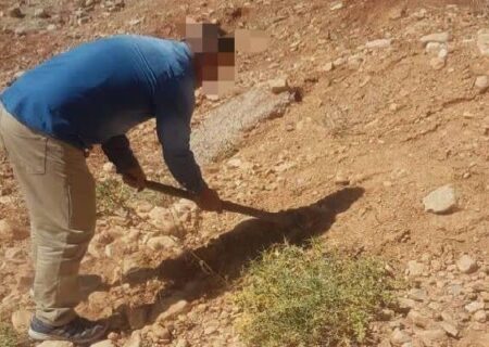 صدور رأی سبز دادگاه در یاسوج؛ کاشت بوته و گیاه به جای حبس برای متهمان