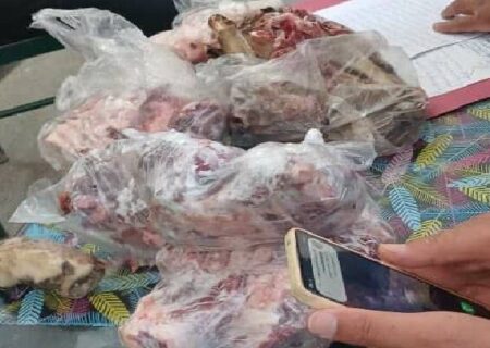 کشف محموله سنگین شکار غیرمجاز در دنا