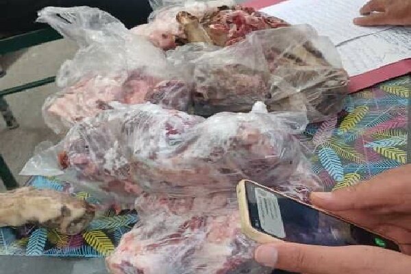 کشف محموله سنگین شکار غیرمجاز در دنا