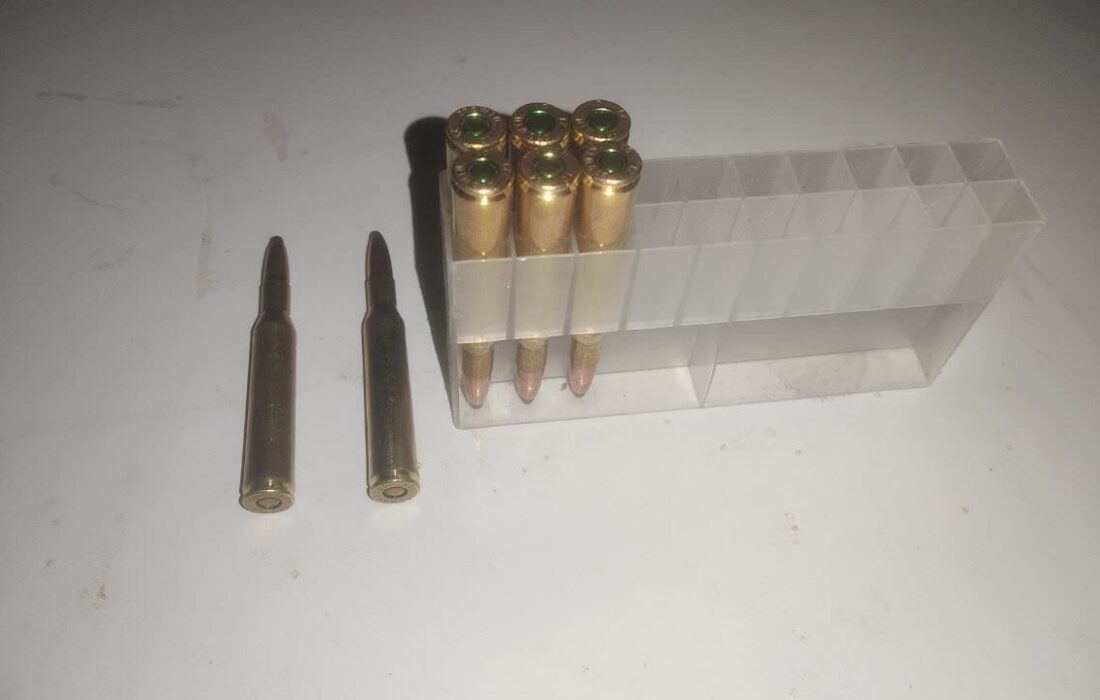 شکارچیان متخلف در پناهگاه حیاتوحش صیدوا به دام افتادند