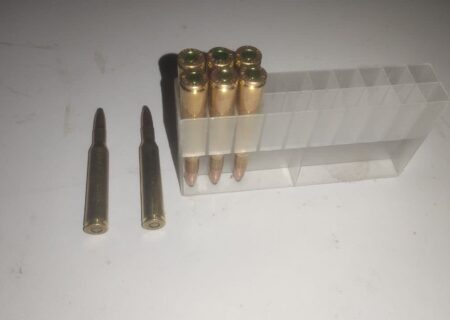 شکارچیان متخلف در پناهگاه حیات‌وحش صیدوا به دام افتادند